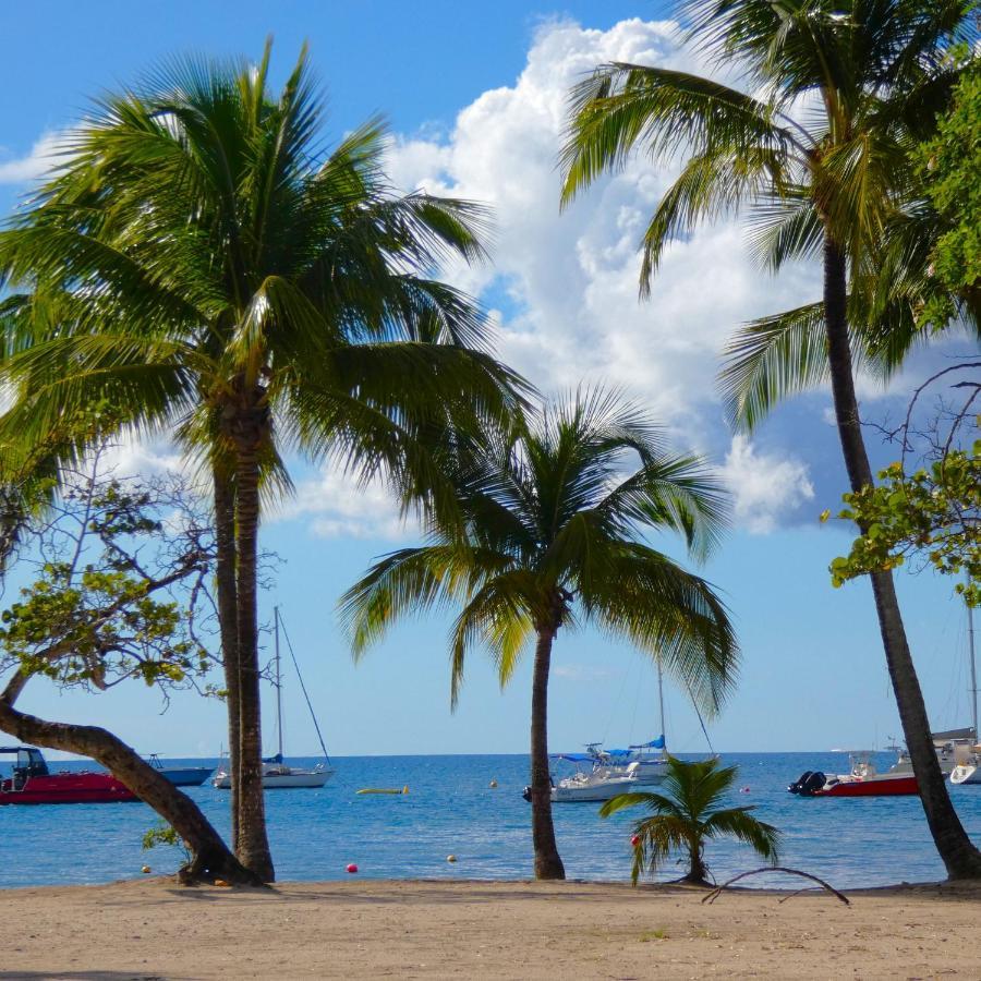 La Plage - Mer Des Caraibes A 30M Ле-Труаз-Иле Экстерьер фото